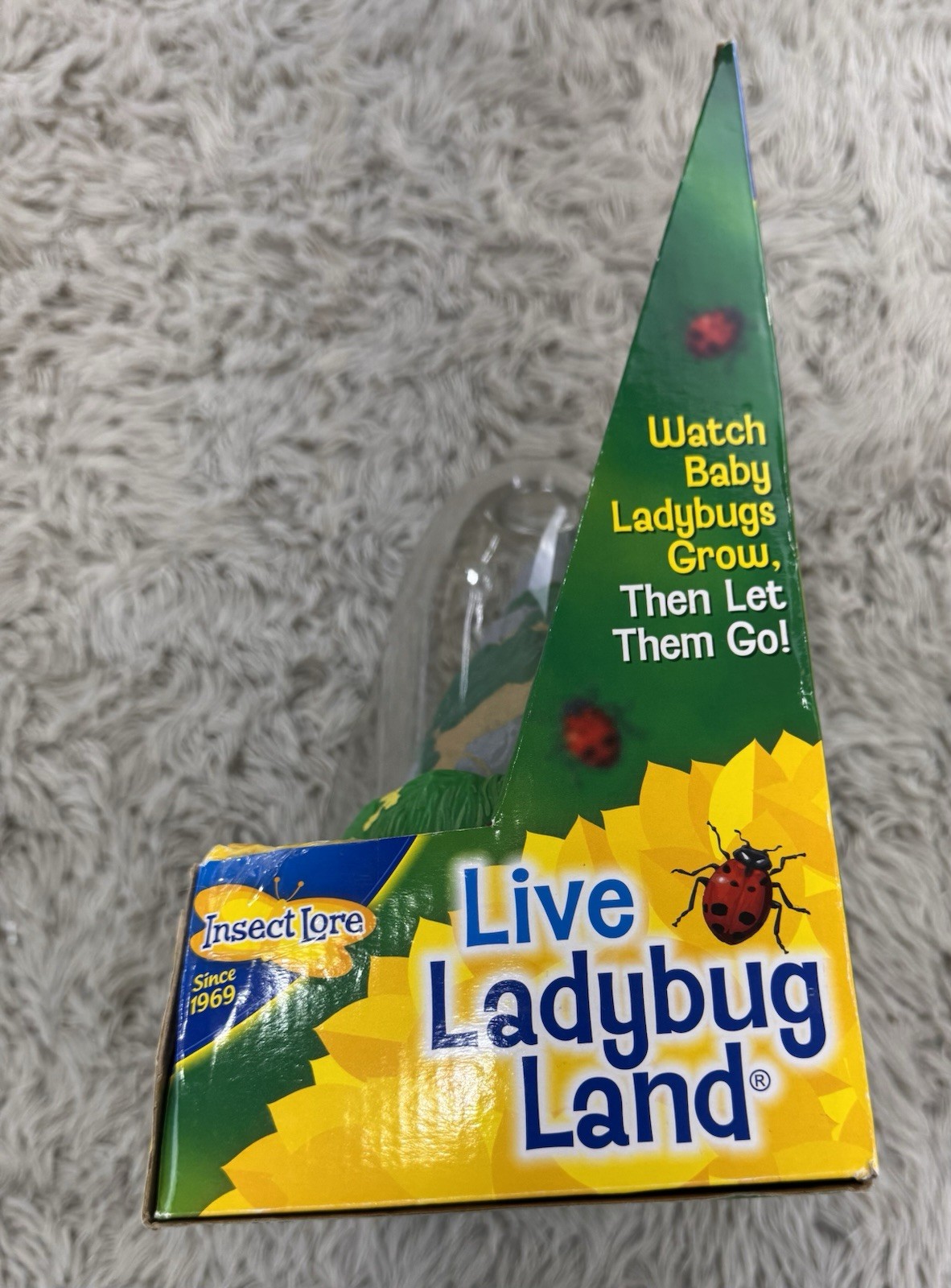 Insect Lore Live Ladybug Land Hatching Kit!