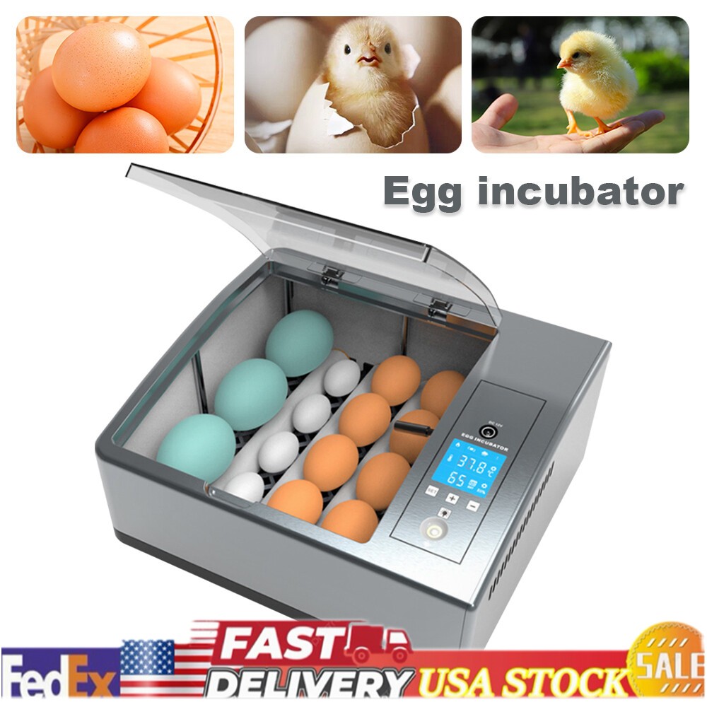 ✅16 Eggs Egg Incubator for Hatching Egg Full Automatic Turning Duck Chicken Egg