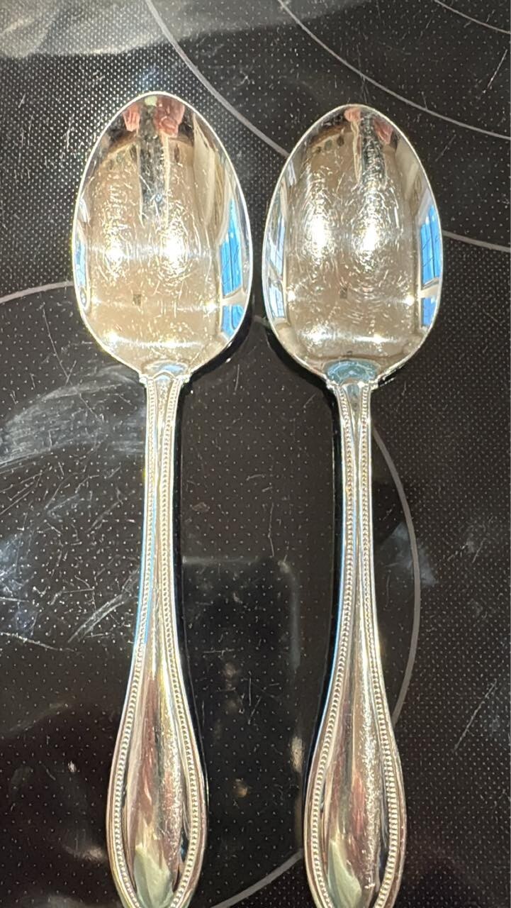 2 Oneida ARBOR American Harmony Stainless Flatware Table spoons