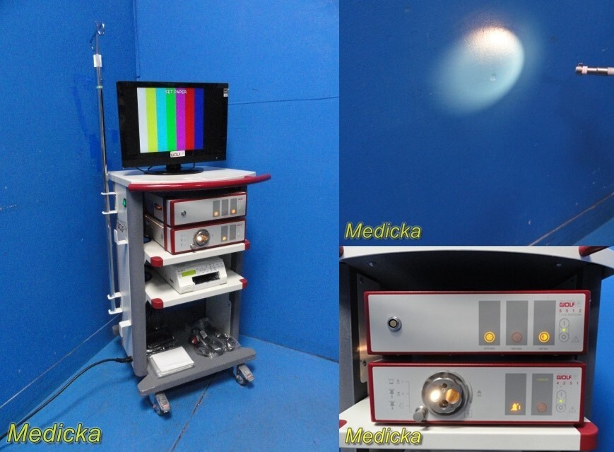 2010 R. Wolf 5512 Endocam Endoscopy Tower W/ CCU,Light Source,Printer,Cart~31156