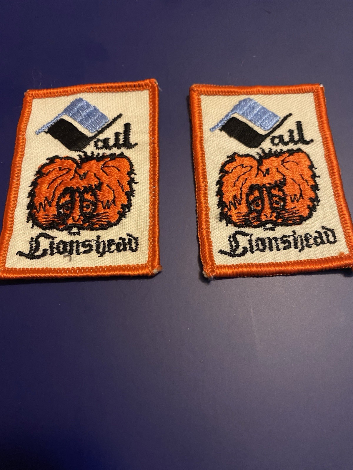 VTG Lot Of 2 VAIL LIONSHEAD Ski Resort Sew On Patches