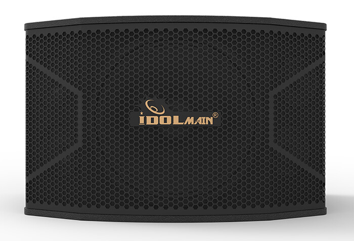 IDOLmain IPS-20 12-inch 3-Way KARAOKE SPEAKER - BRAND NEW MODEL 2024 (PAIR)