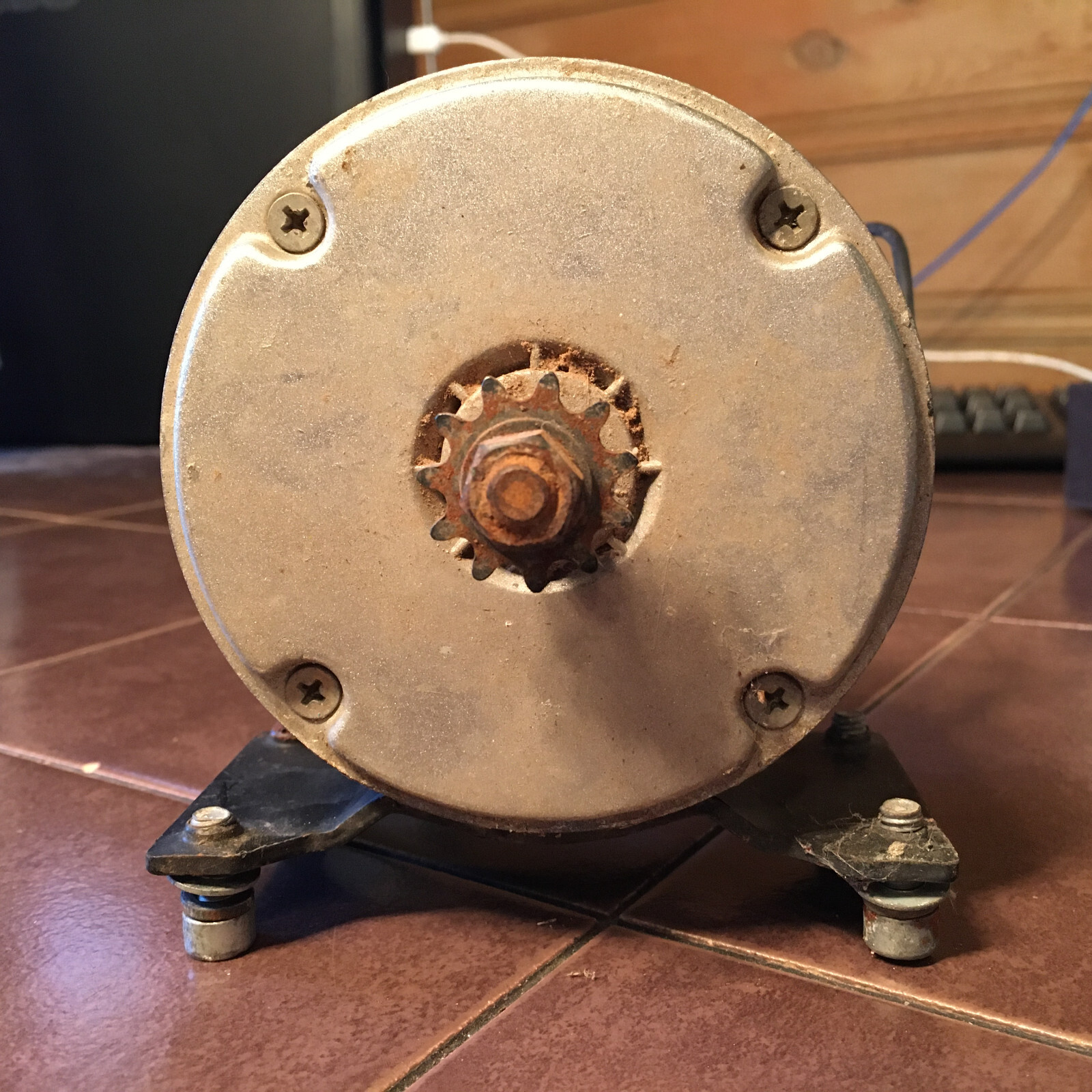 24 Volt 250 Watt MY1016 Electric Motor