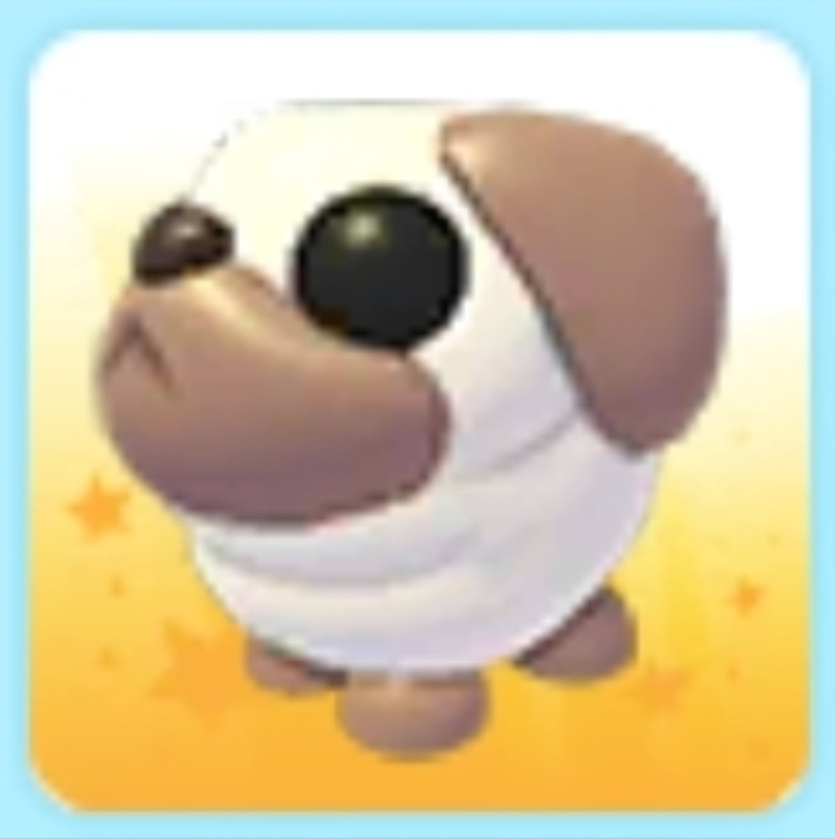 PET NEW HOT 🔥 Snowball Pug 🔥 The Trusted Store!!