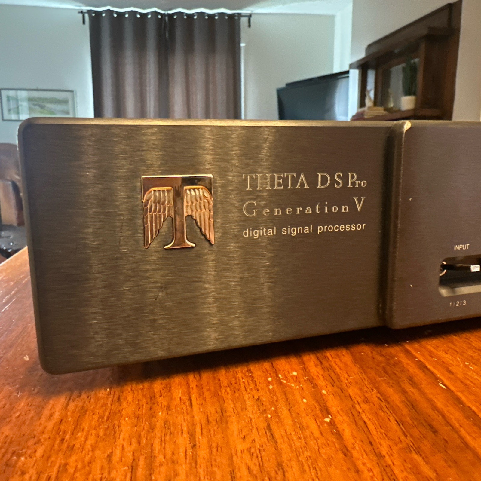 Theta Digital DS Pro Generation V DAC High End Digital Signal Processor Repair