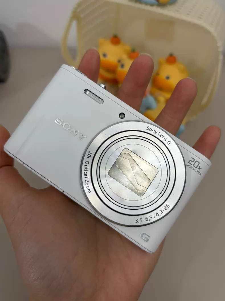 SONY Cyber Shot DSC-WX300 White Digital Camera 20x Zoom 18.2MP CMOS English