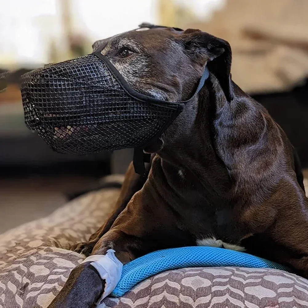 Pet Dog Mask Adjustable Breathable Dog Mouth Cover Anti Bark Bite Mesh Dogs Mout