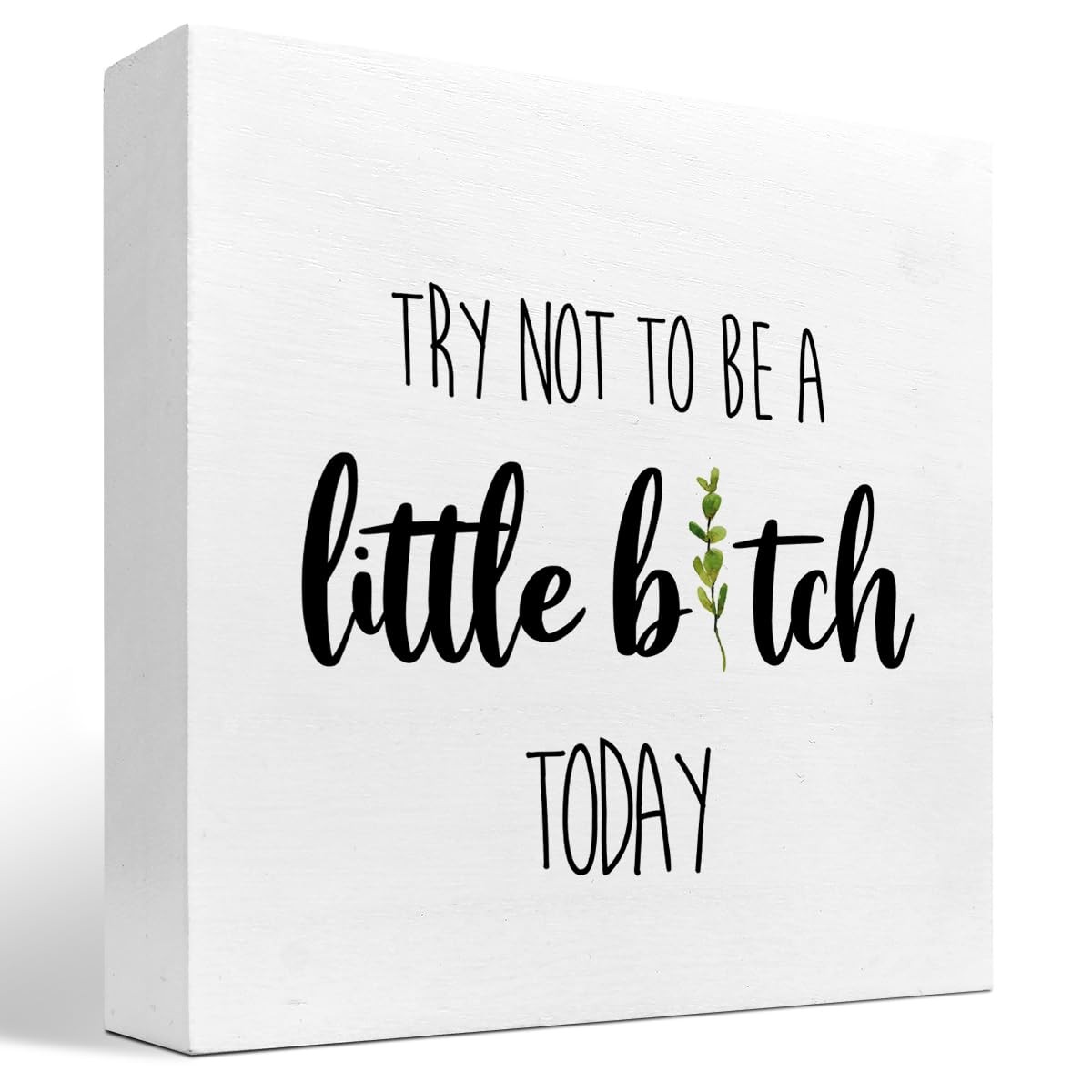 Funny Home Wood Decor Sign,Try not to Be a Little B Today Sign,Humor Wooden B...