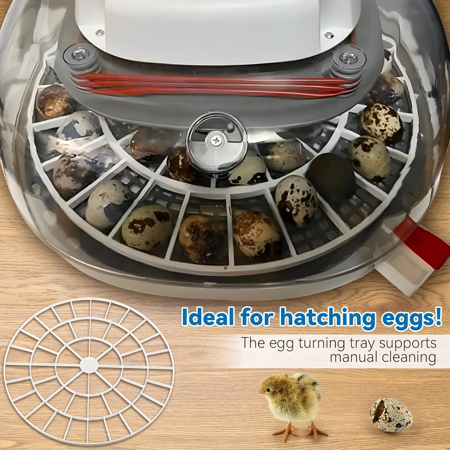 48 Egg Tray Compatible with Nurture Right 360 Incubator, Plastic Egg
