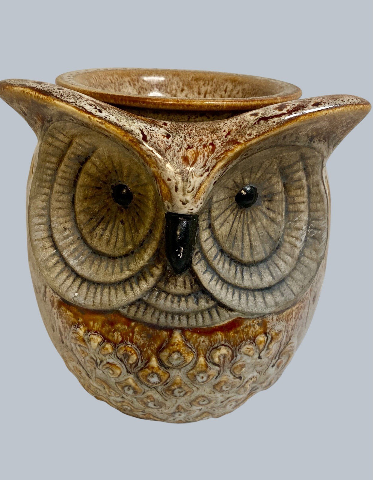 Ceramic Big Eyed Brown Spotted Owl  Electric Lamp Or Wax Scent Burner