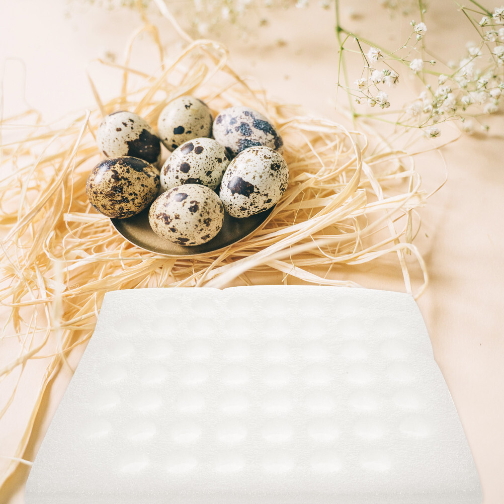 2 Sets Egg Tray Packaging Quail Stand Holder Reusable Boxes Storage Container
