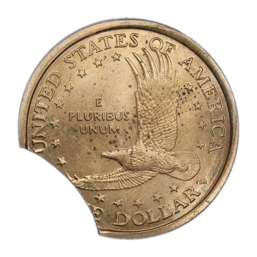 2001 P Sacagawea $1 Dollar Error Clipped Planchet 15% PCGS MS-64