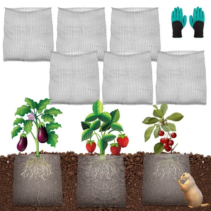 6 Pack 3 Gallon Stainless Steel Gopher Wire Baskets Root Guard with Gloves