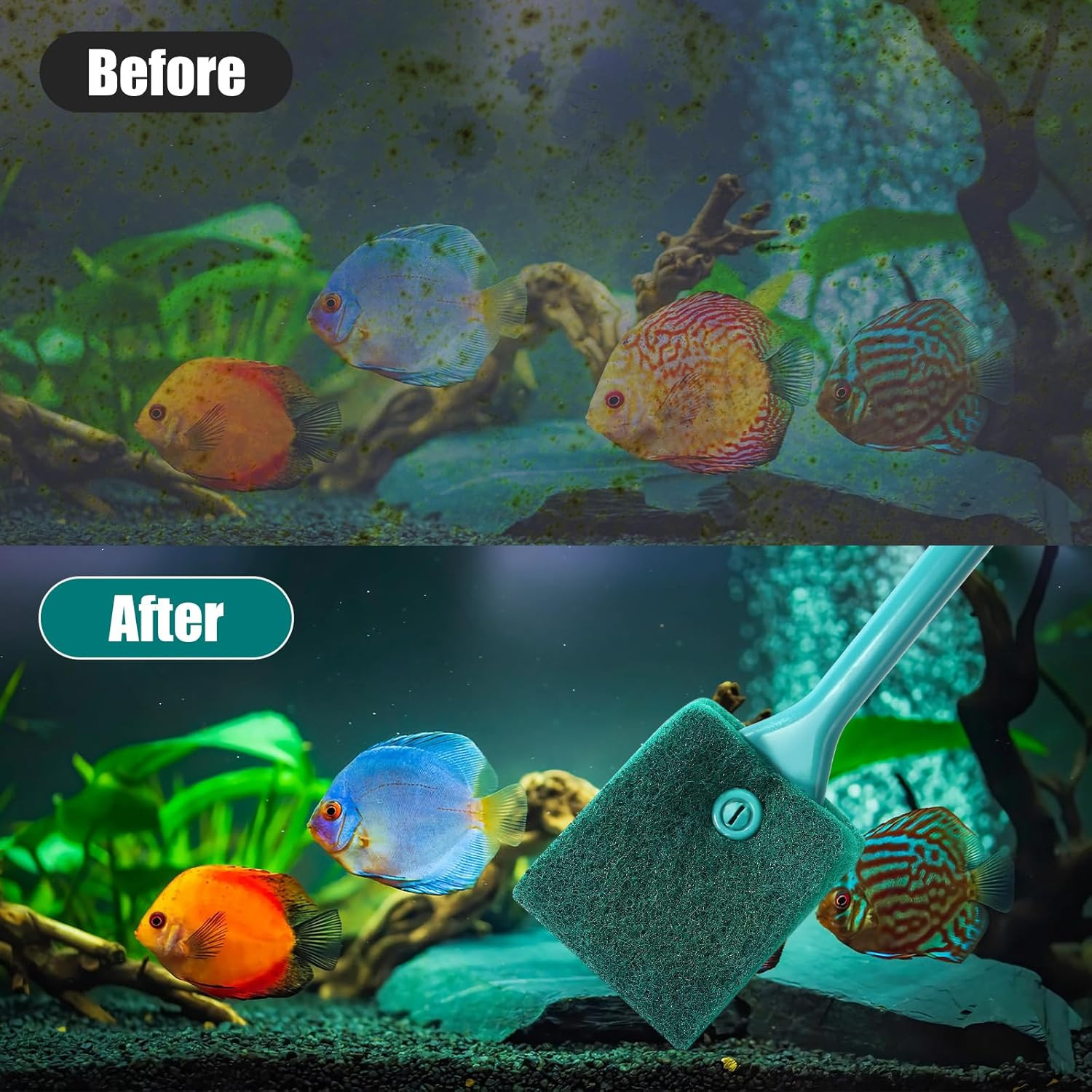 Fish Tank Cleaning Tools, Aquarium Double Sided Sponge Brush, Algae Scraper Clea