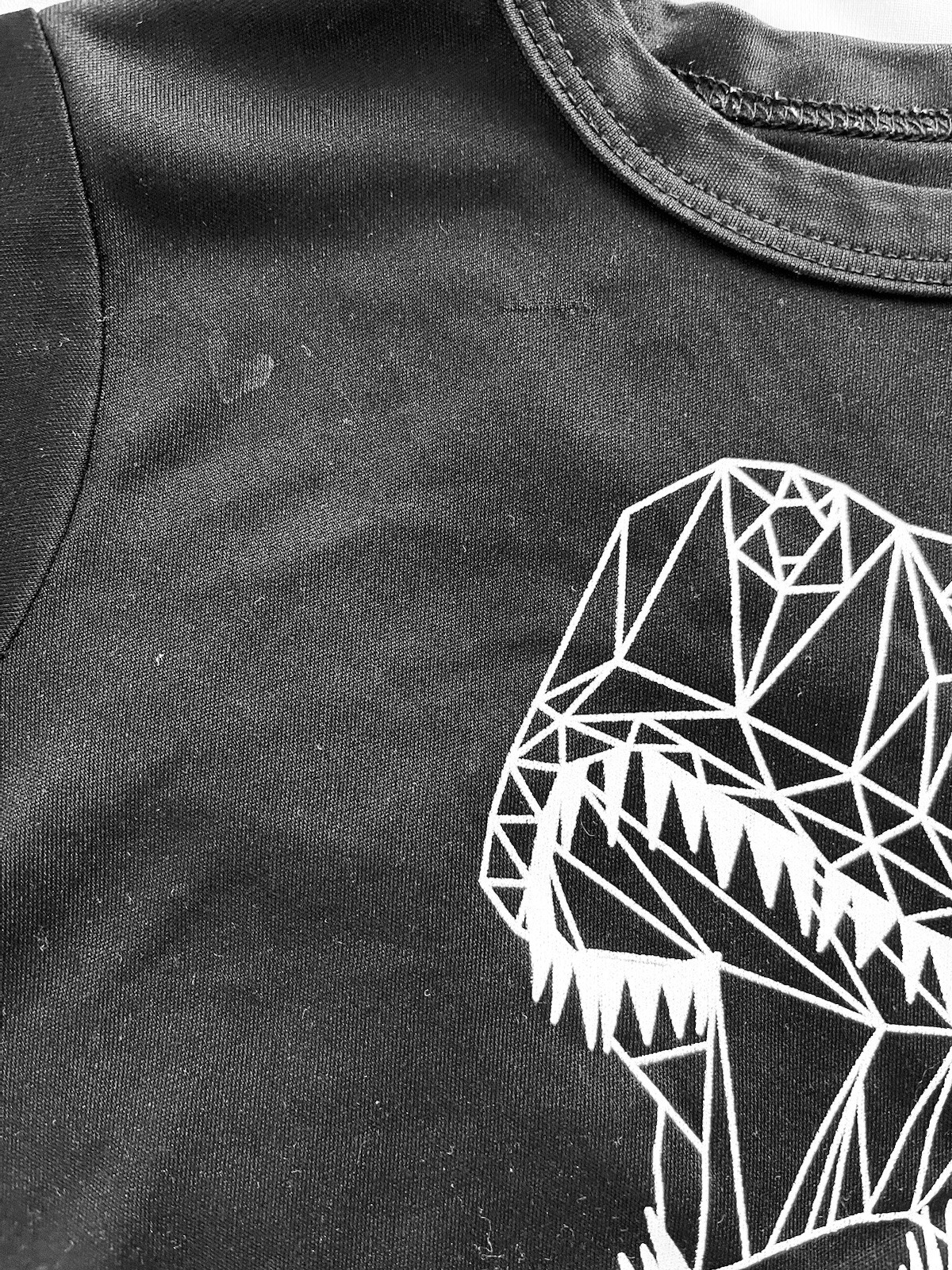 NM Sport Boys 12-18 M black Dinosaur graphic sweatshirt short sleeve polyester
