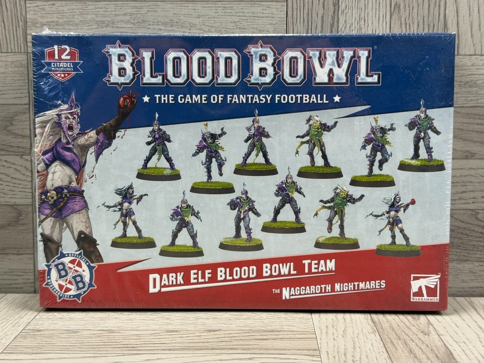 Warhammer - Blood Bowl - Dark Elf Blood Bowl Team - The Naggaroth Nightmares
