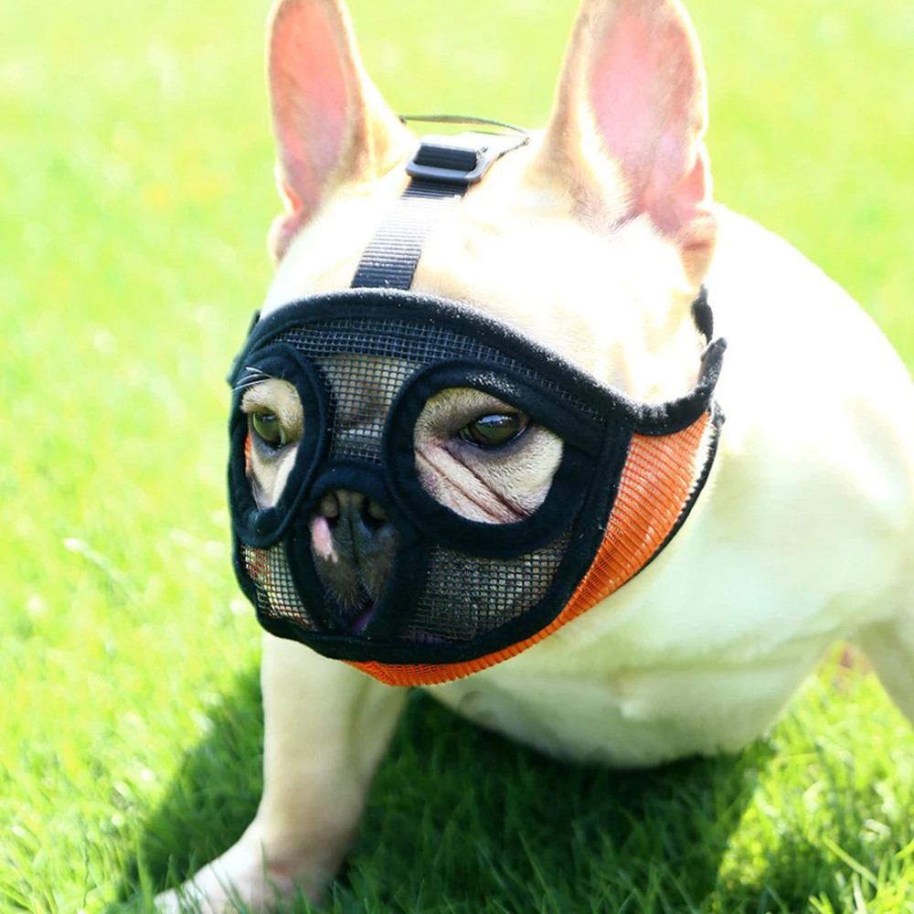 Bulldog Muzzle French Dou Ying Dou Pet Dog Short Mouth Dog Anti-bite Anti