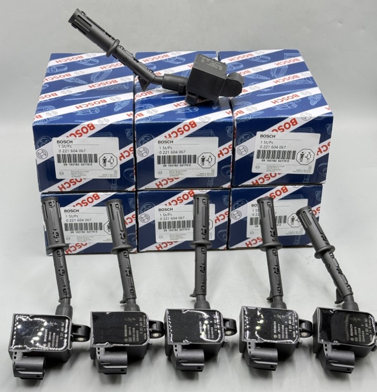 6PCS 0221604034 For Bosch Mercedes CLS350 E350 ML350 R350 3.5L Ignition Coil US