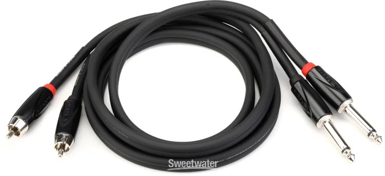 Roland RCC-5-2R28 Dual 1/4" TS - RCA Interconnect Cable - 5'