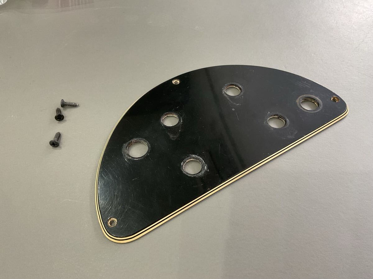 Gibson Gibson SG Deluxe 1971 ES-325 Control Panel Pickguard Vintage Tremolo SG