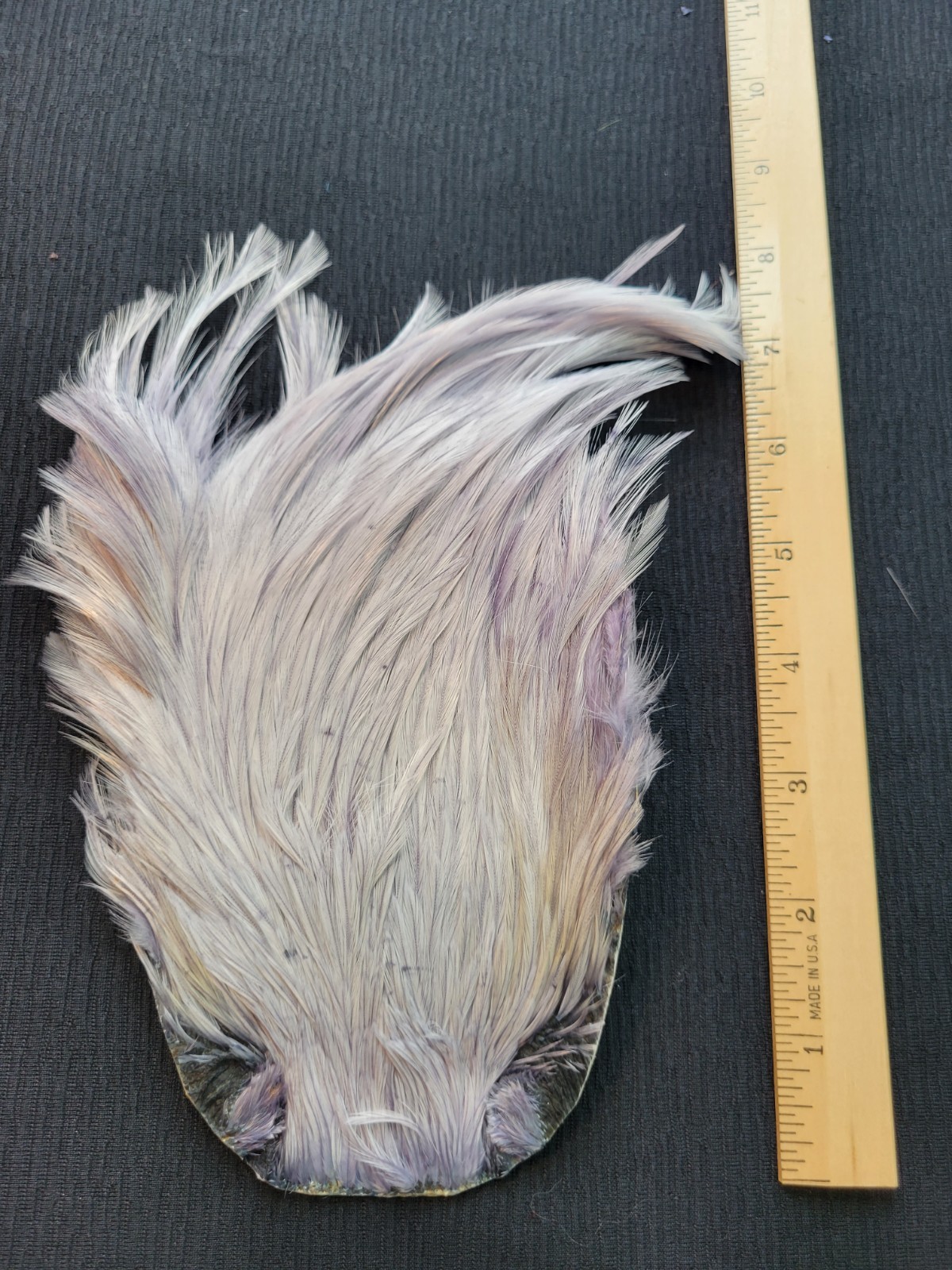 Lot 507, Dyed BLUE DUN India Rooster Streamer Neck Cape Feathers Tying