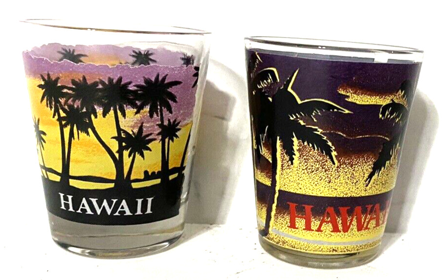 Lot of 2 Union Hawaii Shot Glasses