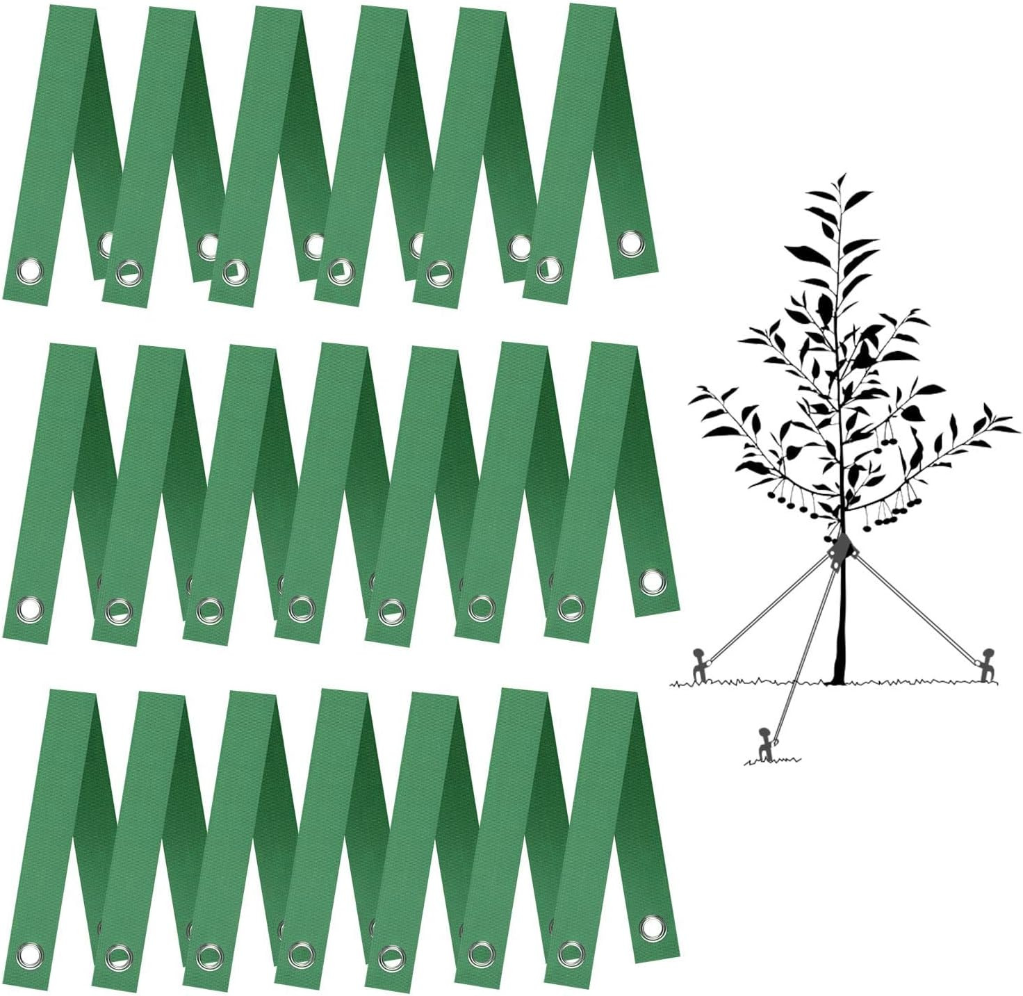 Tree Straps for Staking, 20 PCS Tree Support Straps for Newly Planted Saplings a