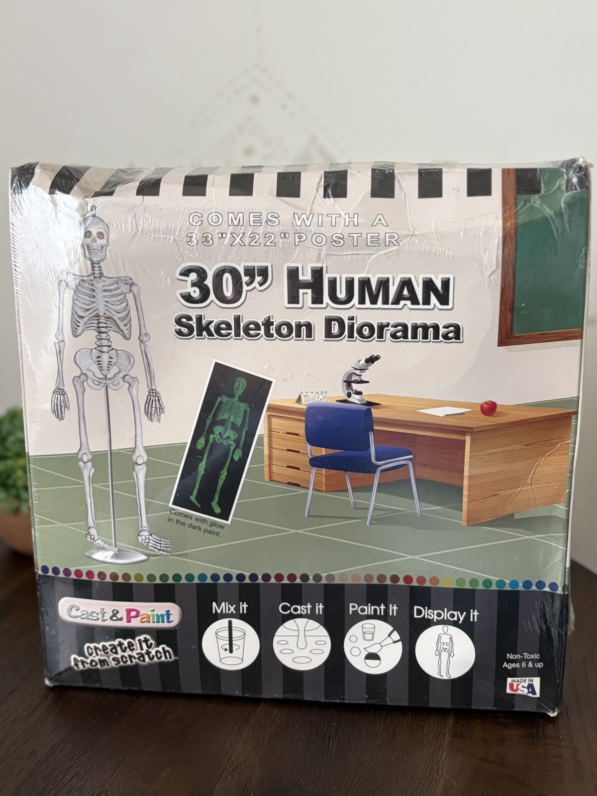 30" Human Skeleton Diorama Skullduggery Cast & Paint Kit New Sealed