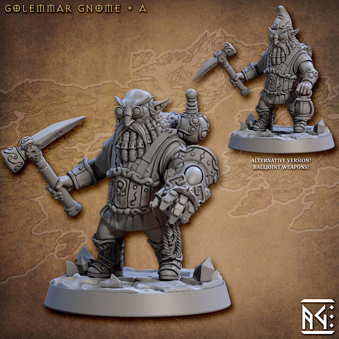 Gnome Fighter A - Artisan Guild - Dungeons and Dragons