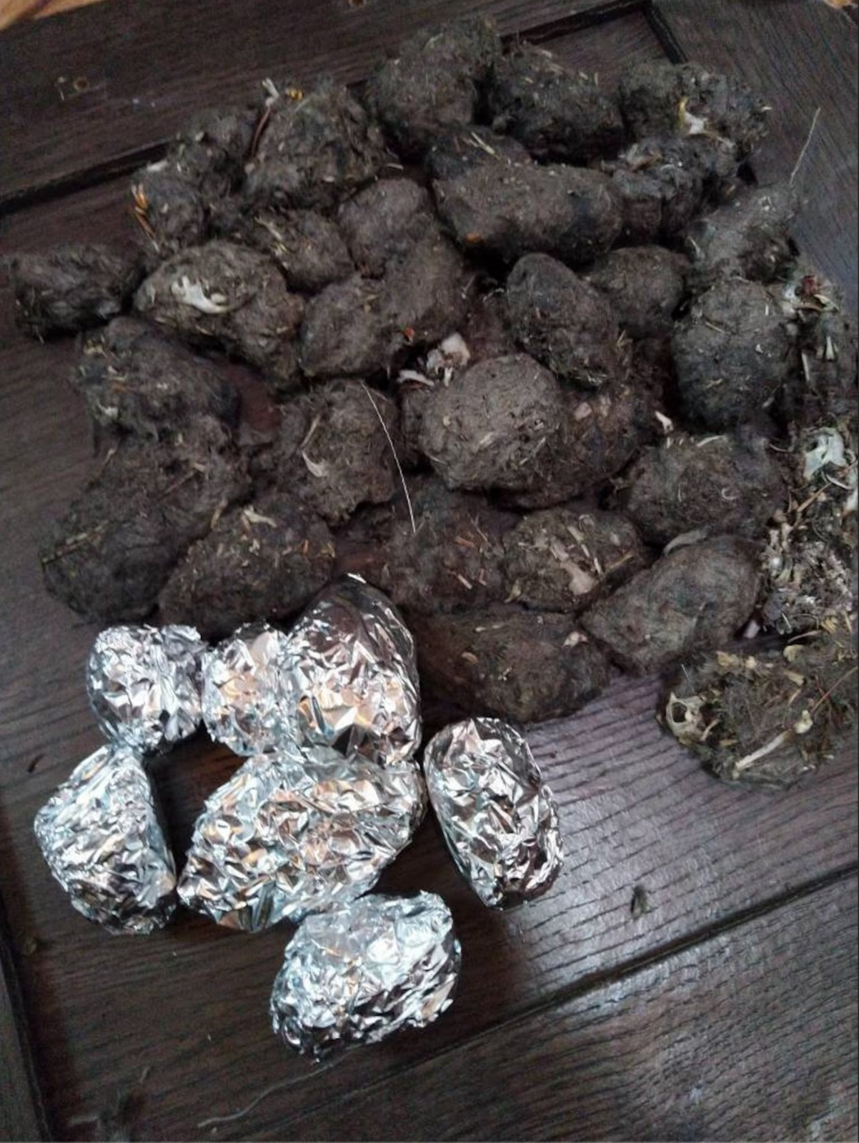 3 LARGE OWL PELLETS - Sterilized - Nature study - Classroom activity