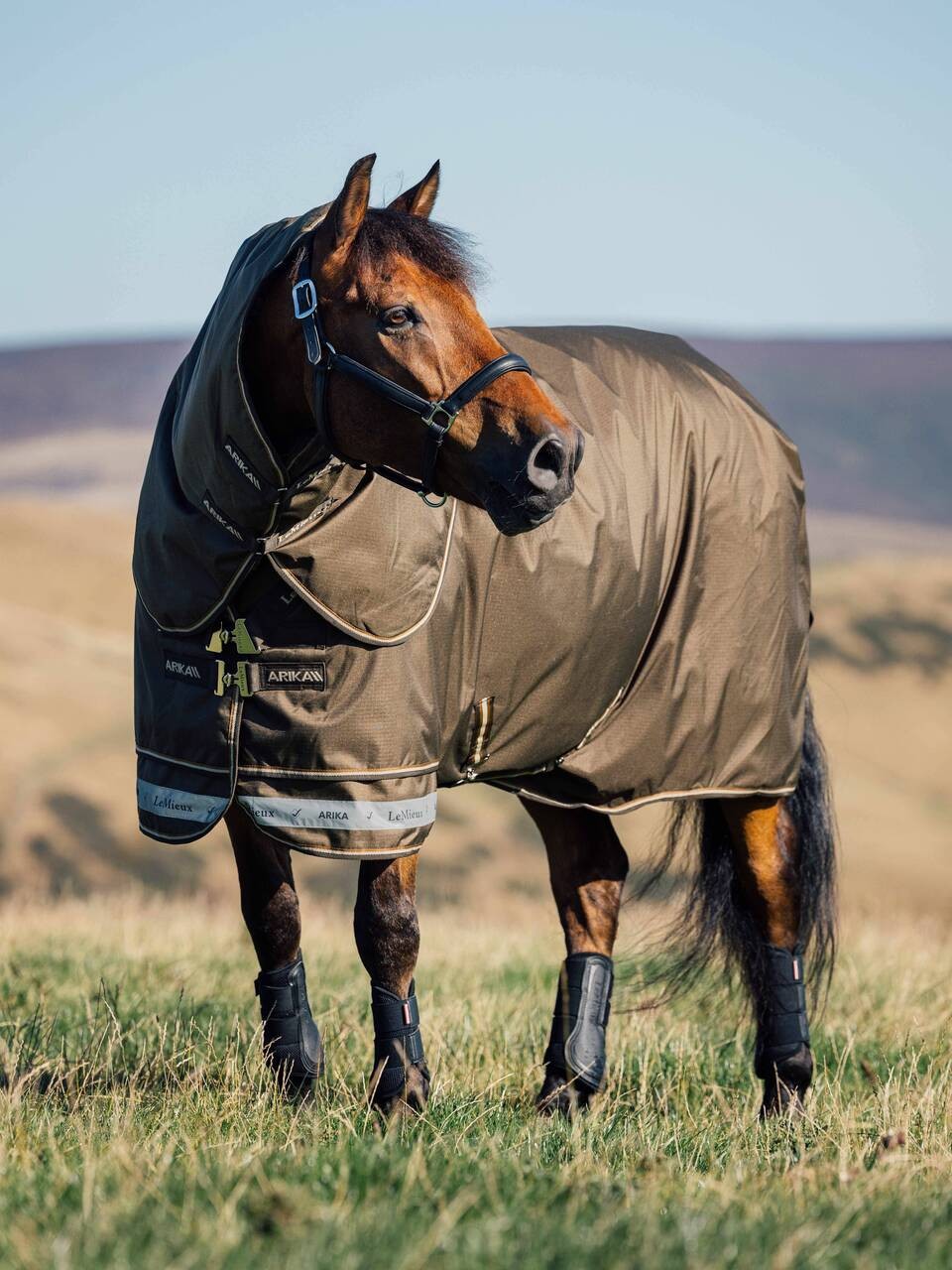 LeMieux Arika Ripstop 200g Medium Turnout Blanket with Neck - Alpine
