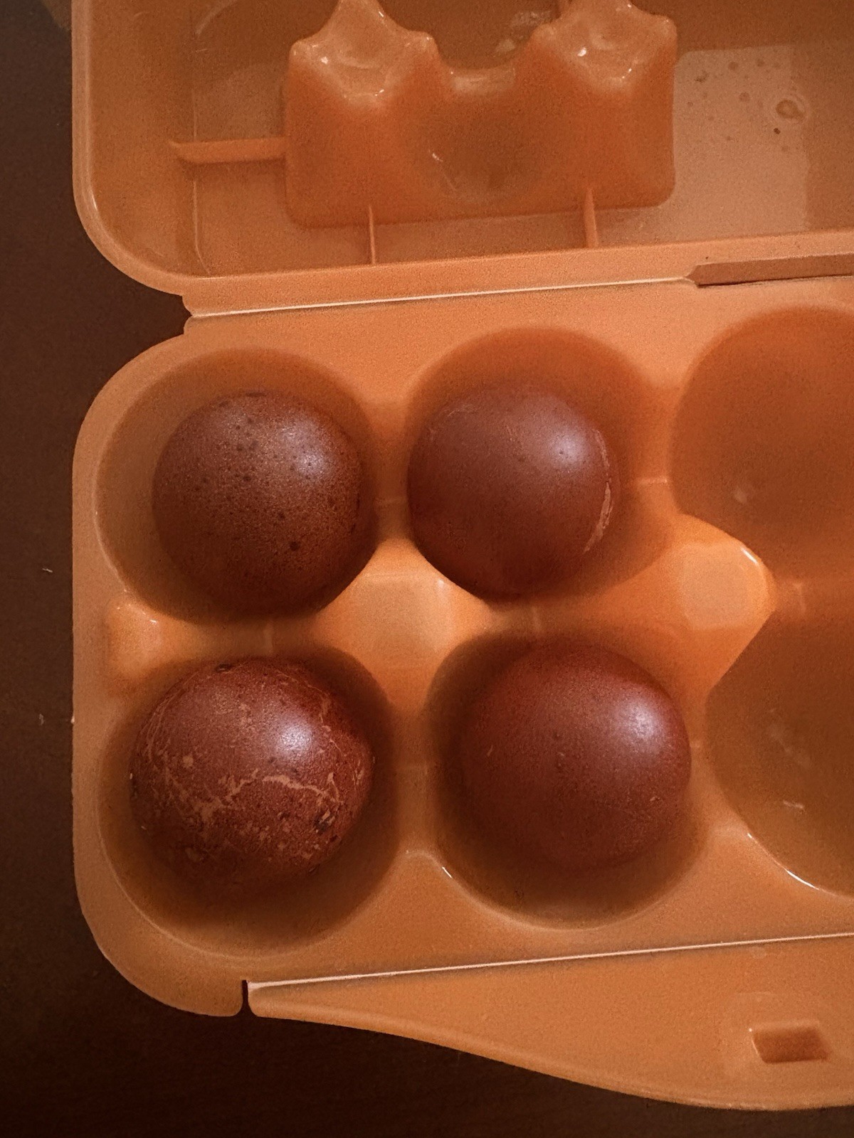 Six Dark Brown Fertile Chicken Hatching Eggs NPIP Cert