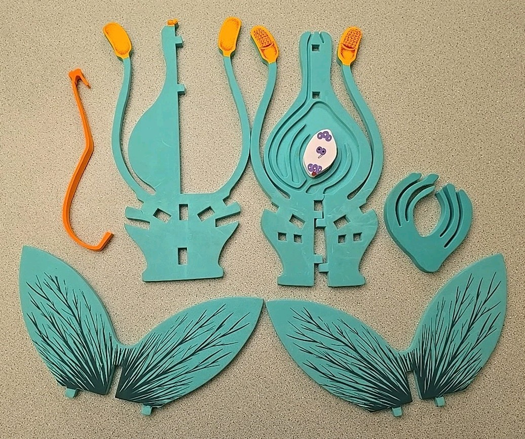 Model Plus Science Models Flowers Classroom Foam Model with Teacher's Notes