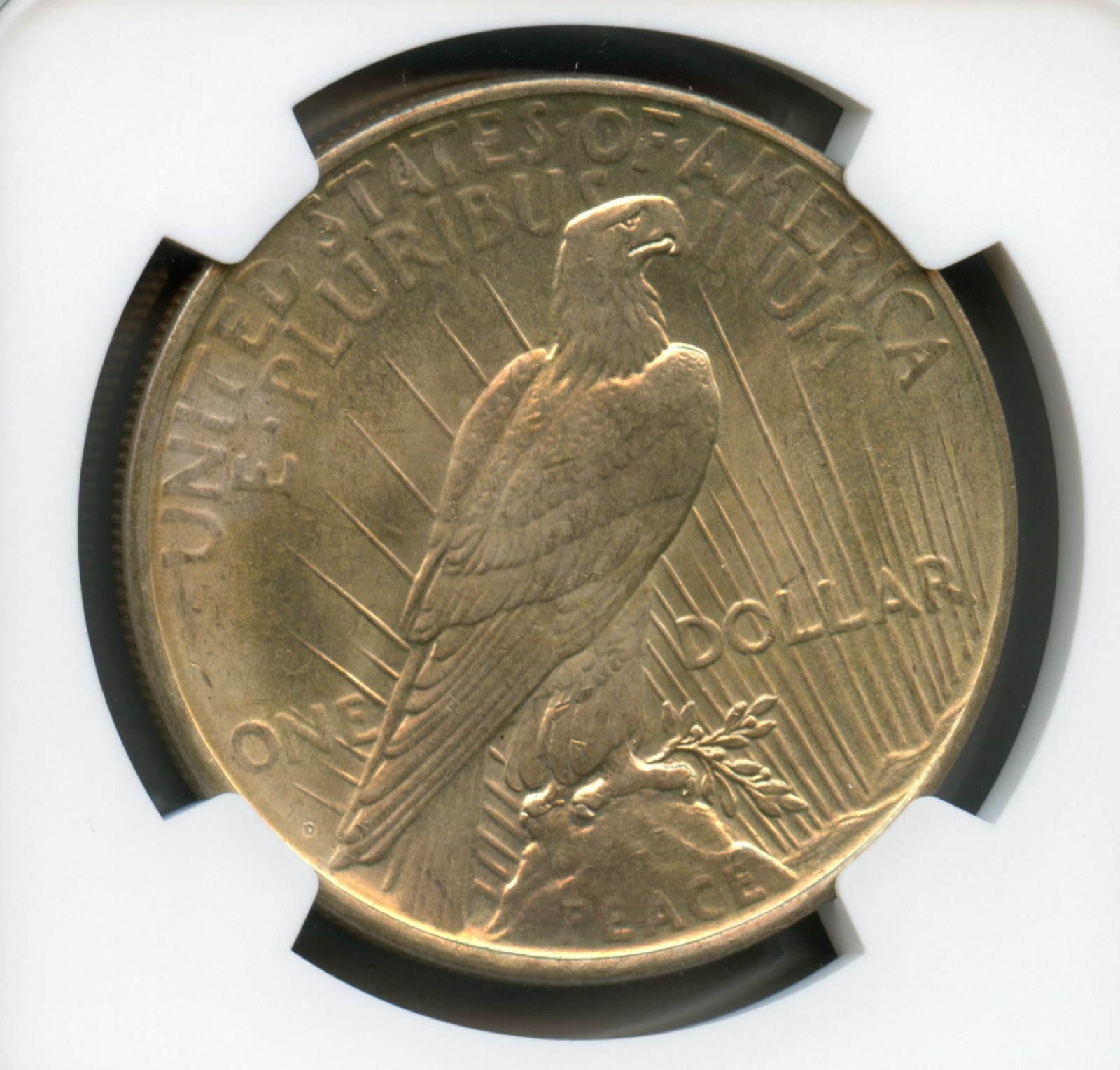 1926 D Peace Silver Dollar NGC MS 64