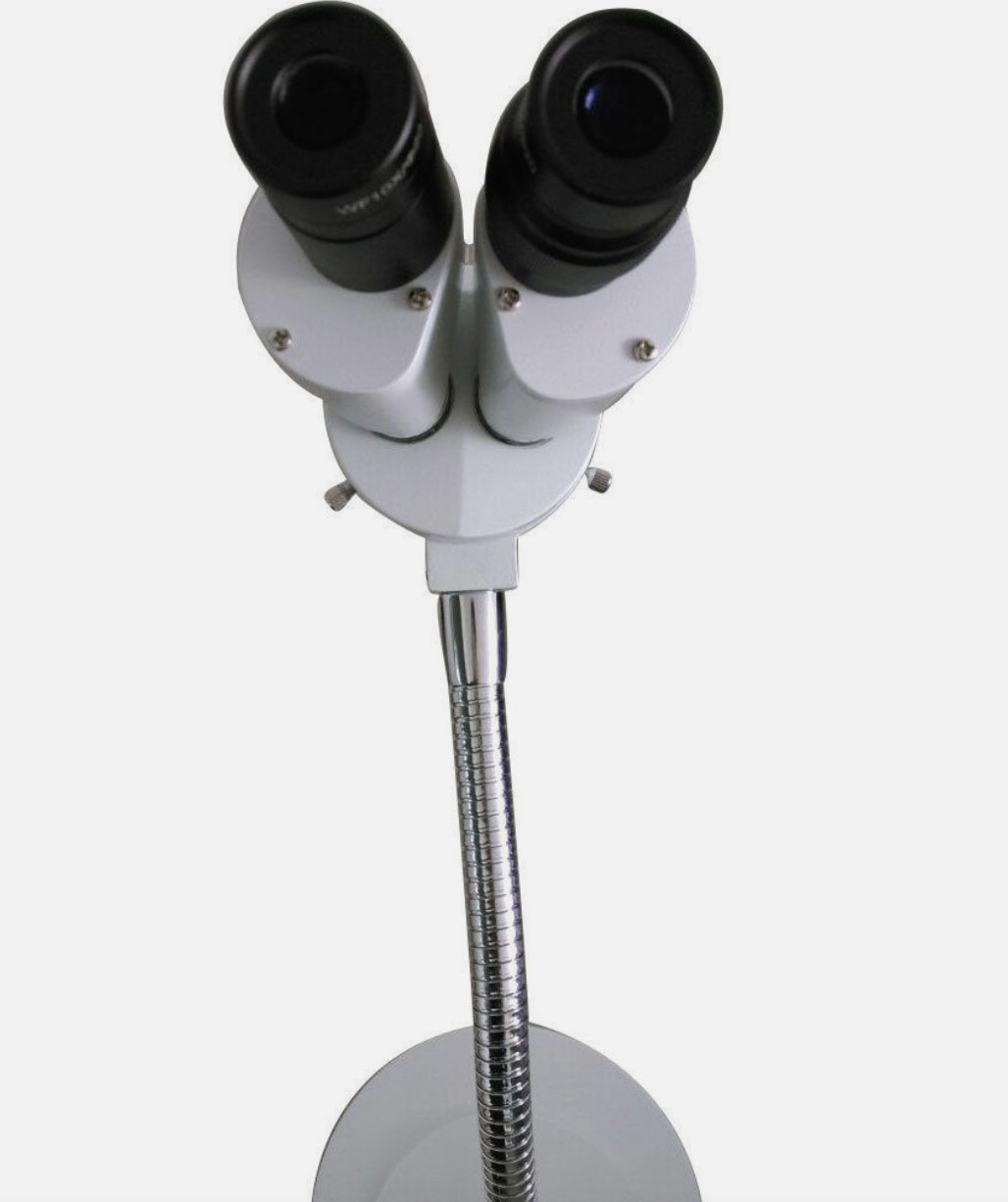 MICROSCOPE FOR LAB (#08460)