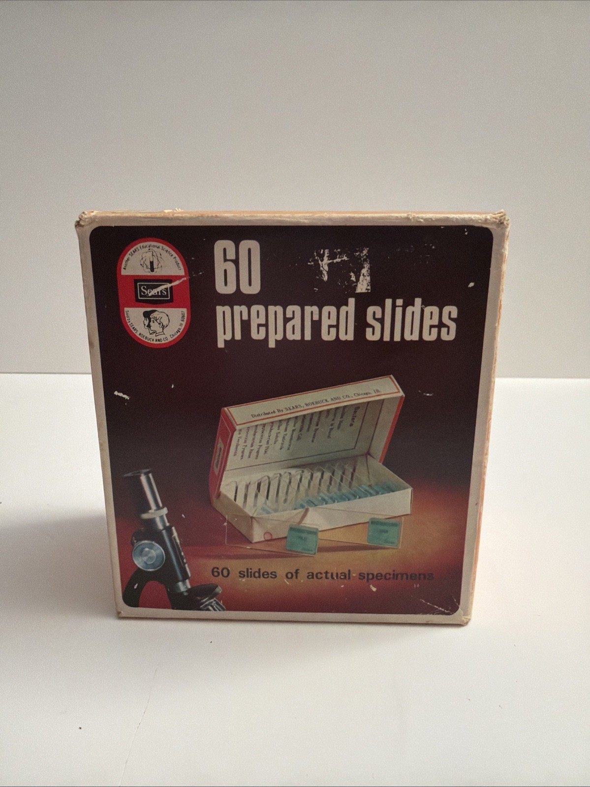 Vintage Sears 60 Prepared Glass Microscope Slides Sea Life Bacteria Insects Etc.