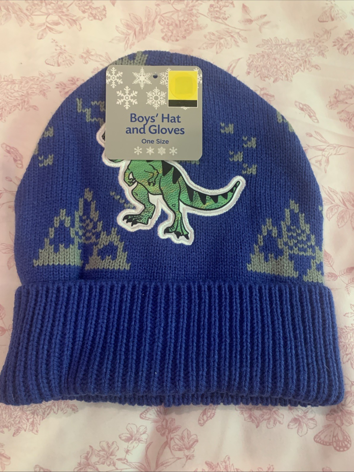 Boys Hat Glove One Size Dinosaur