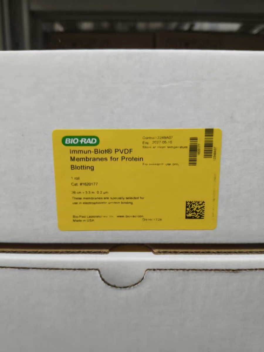 New 1620177 PVDF transport membrane Fast shipping FedEx or DHL