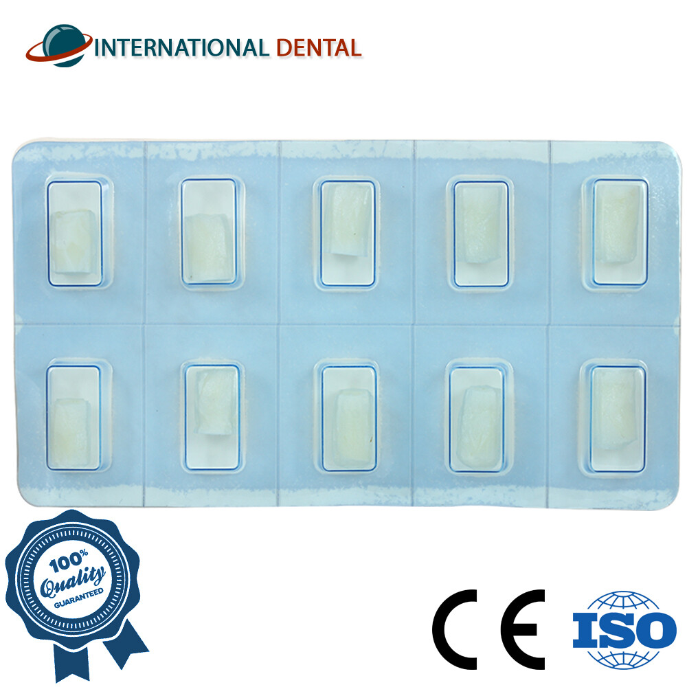 Pure Sponge Collagen Big Plug Absorbable Sterile 10pcs Dental Wound