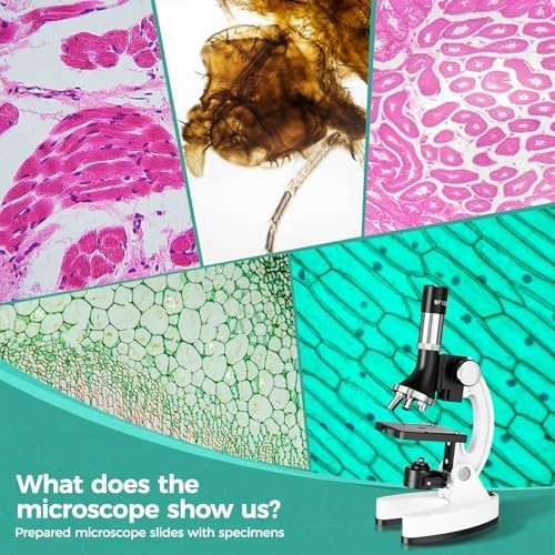Science Kit Microscope for Kids 8-12: Science Experiments Set for Kids 6-8