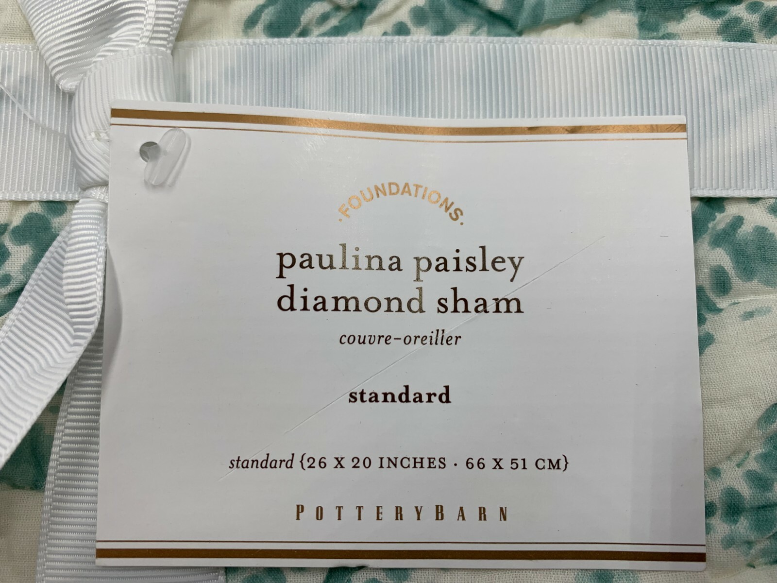Pottery Barn Paulina Paisley Diamond Sham Standard Seafoam Green #G130