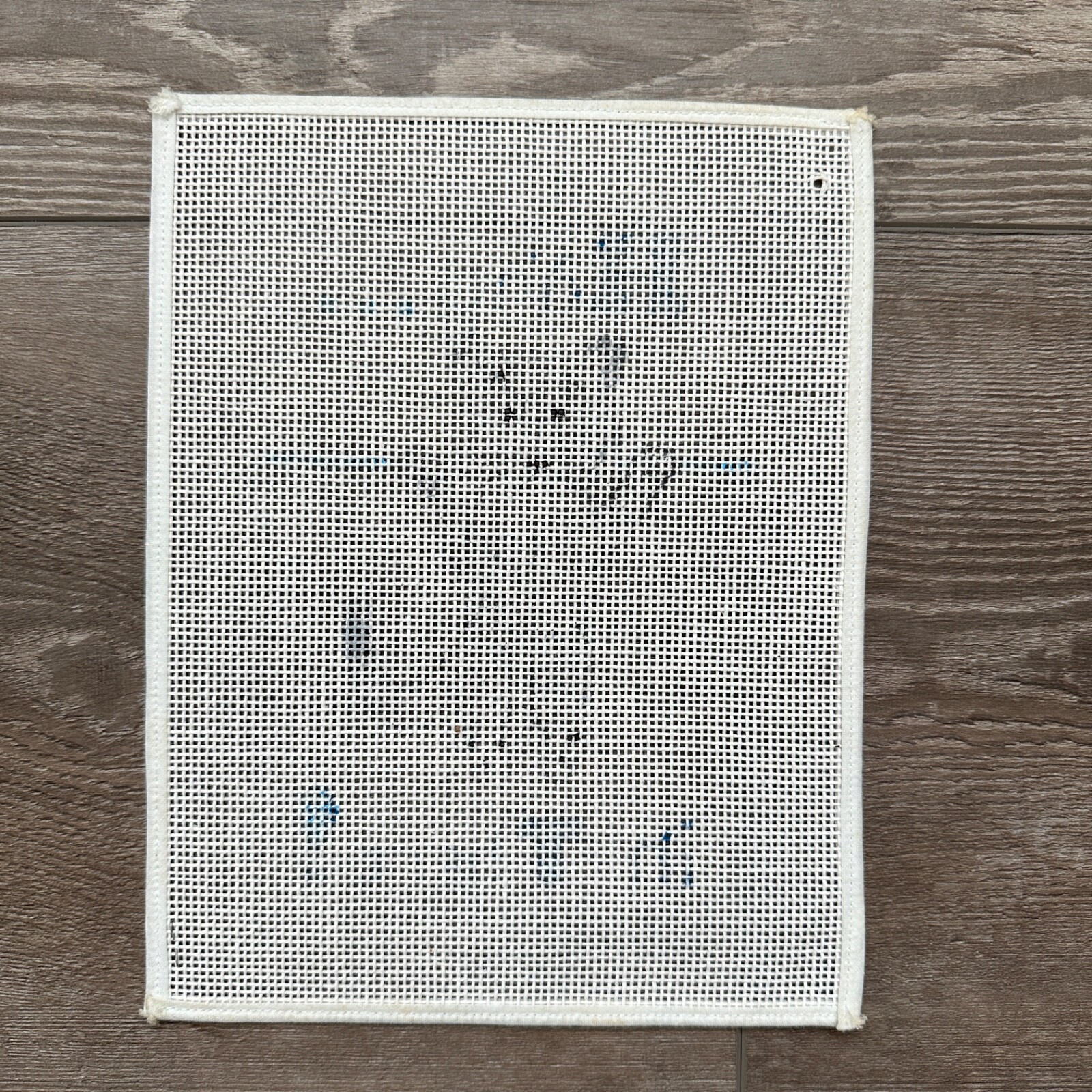 Hang in There Cat Needlepoint Canvas, Single Sheet