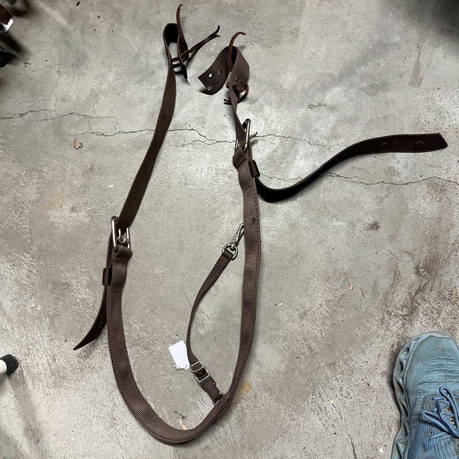 Complete Rear Cinch Set Up In Brown Nylon