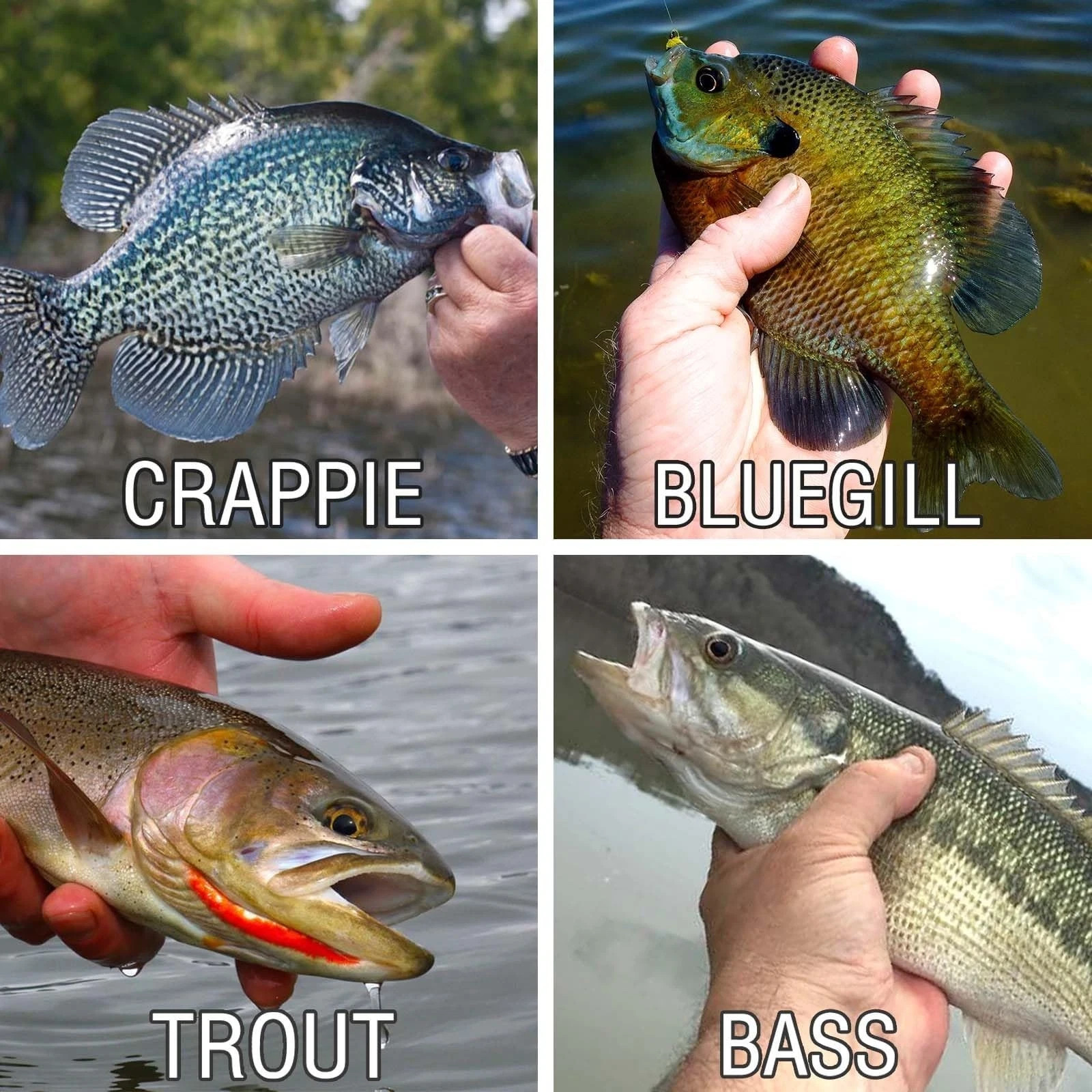 135 PCS Crappie Lures Kit - Crappie Jig Heads Fishing Hooks for Soft Plastic ...