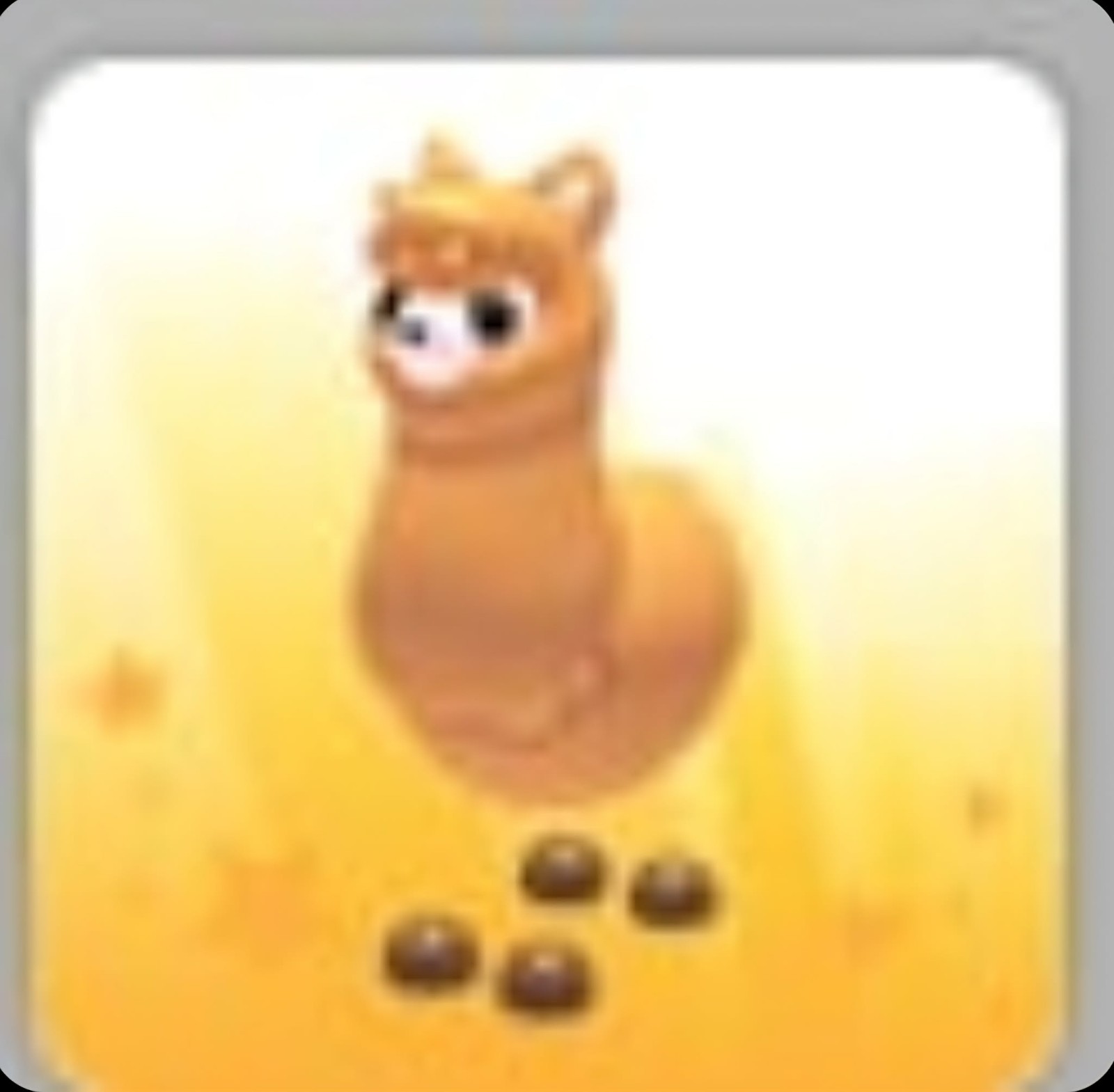 Alpaca | Adopt Now