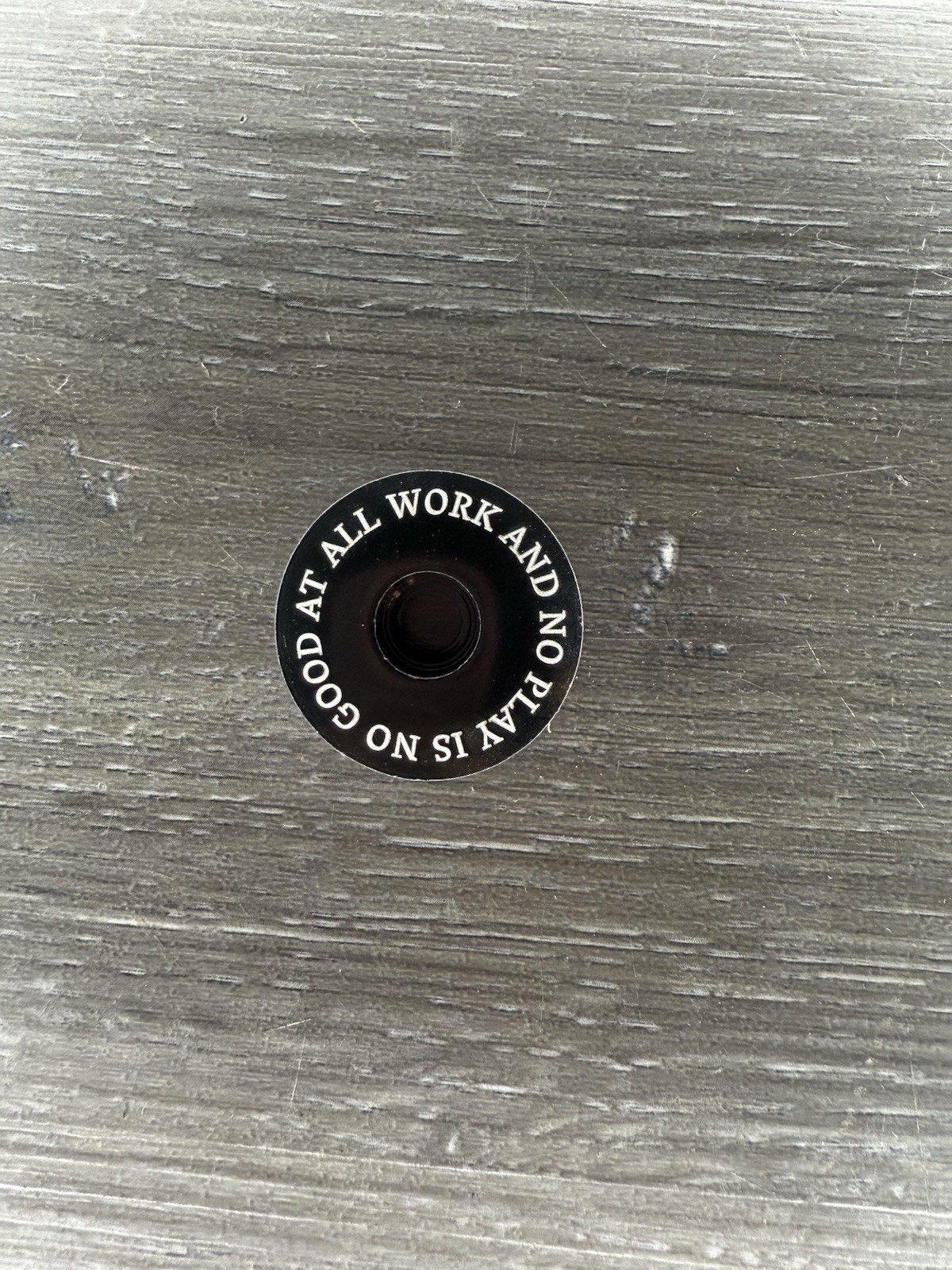 All Work And No Play Is No At All Bike Top Cap 1 1/8" Black Stem Gary Fisher