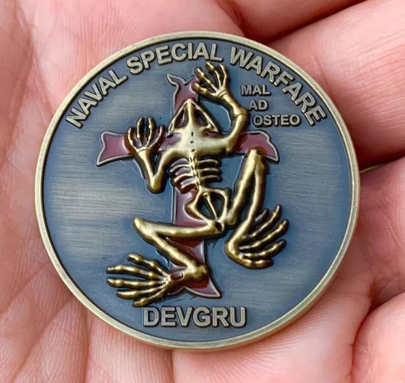 Navy Seal Team 6 DEVGRU NSW Gold Indian Skull Tribe Bone Frog Challenge Coin 🪙