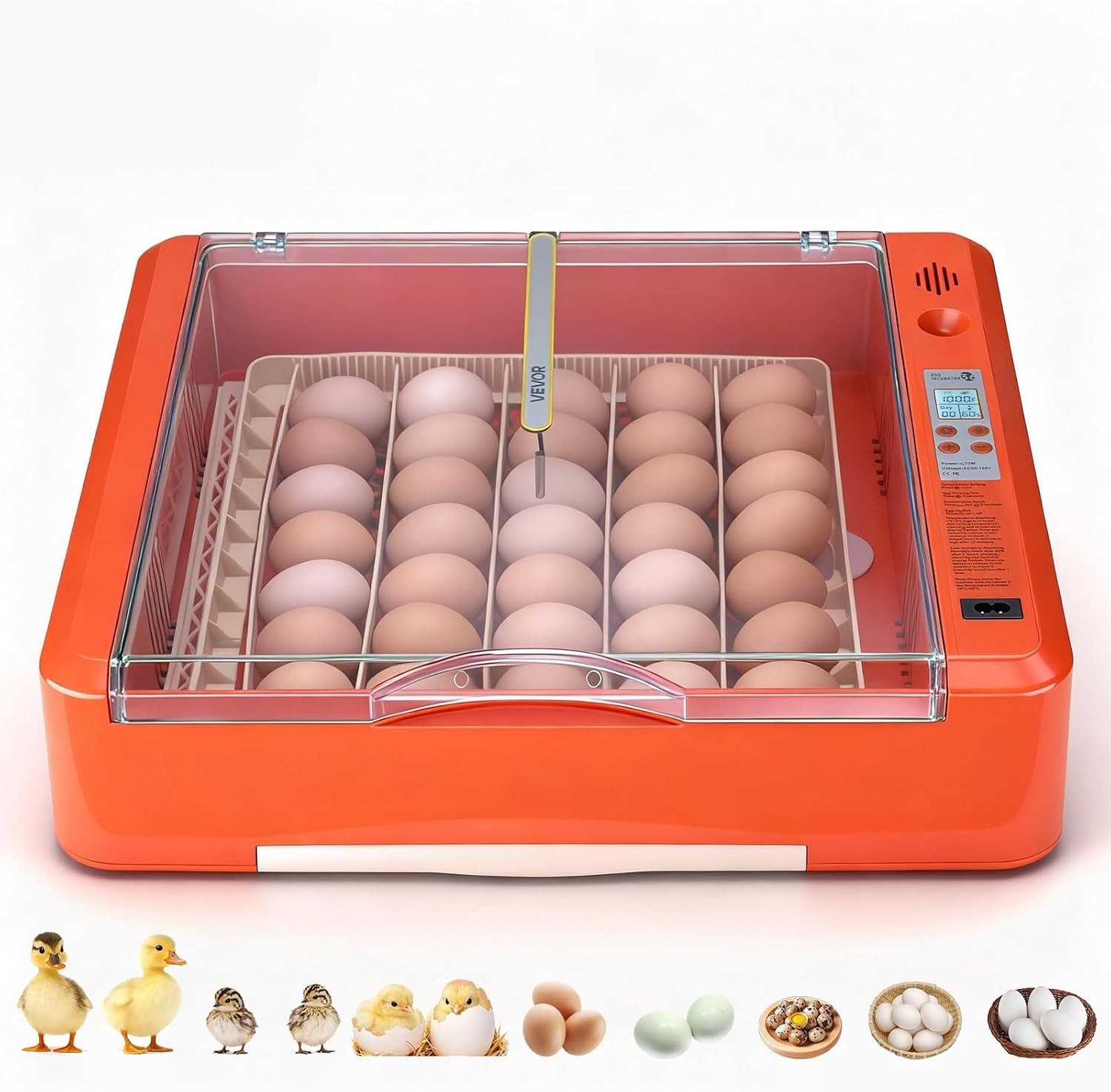 Incubadora de huevos, incubadora de 36-60 huevos con giro automático de huevos