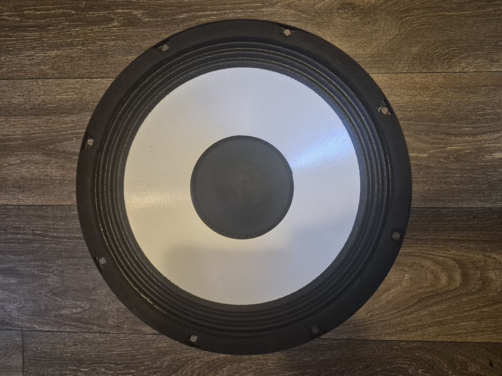 12" Ashdown Blueline bass loudspeake