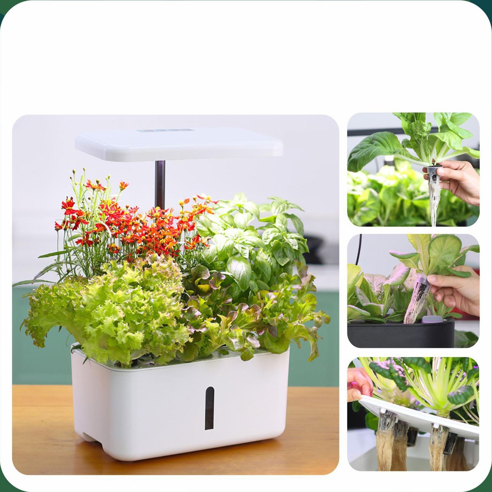 Hydroponic Grow Sponges 20 Pieces Growing Replacement Blocks